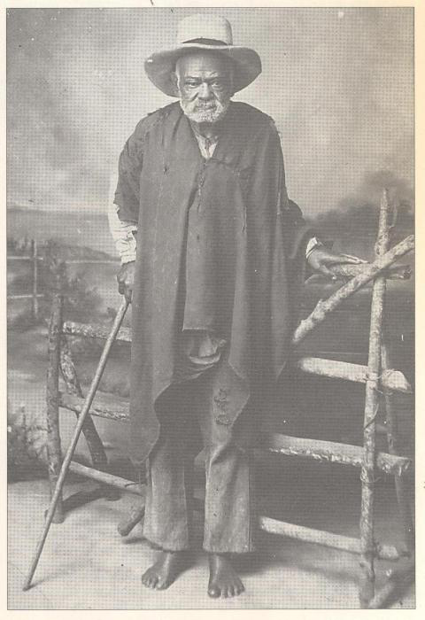 cosiaca